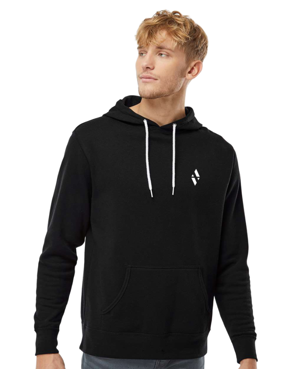 Logo - Premium Lightweight Hoodie