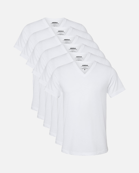 White V-Neck 6 Pack