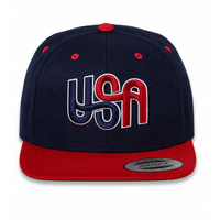 USA Patriotic Ambigram